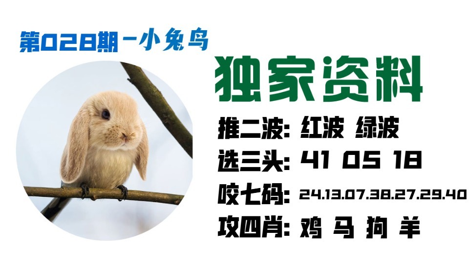 028期小兔鸟[图]